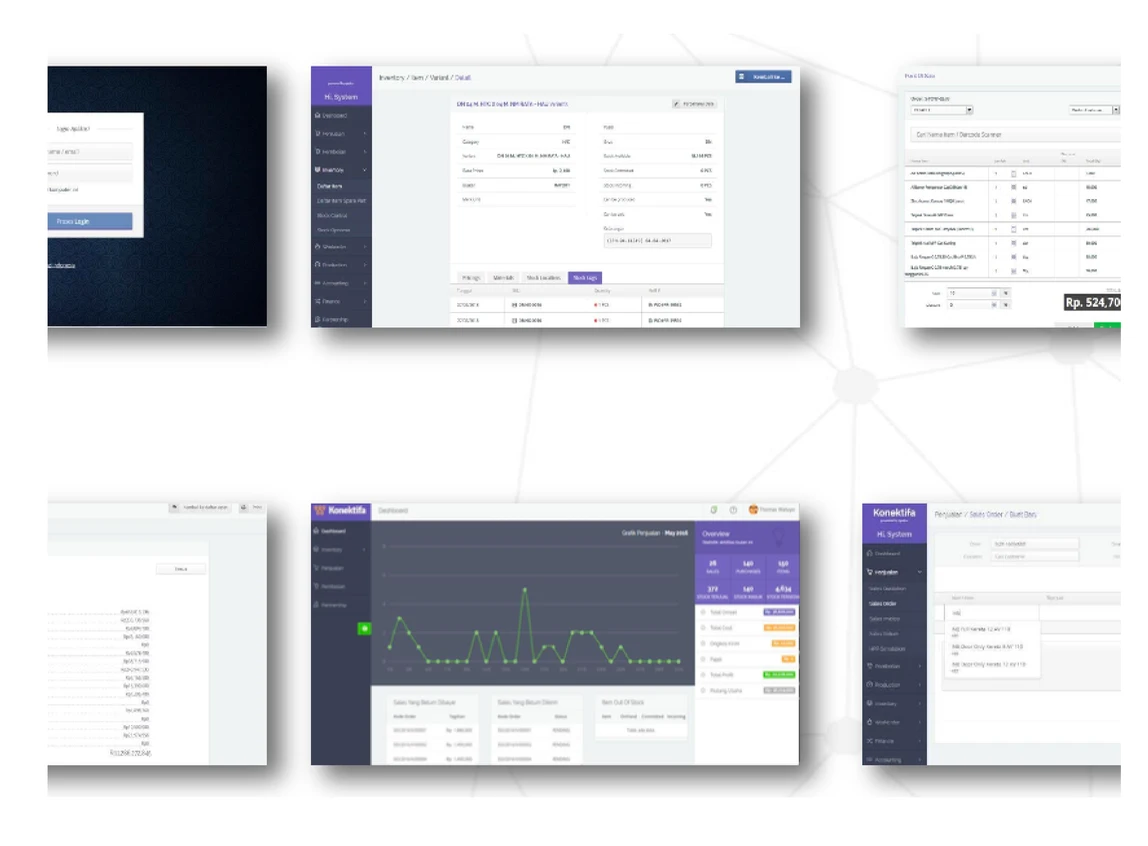 Custom ERP System